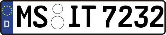 MS-IT7232