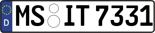 MS-IT7331