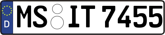 MS-IT7455