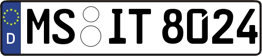 MS-IT8024