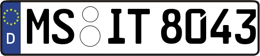MS-IT8043