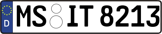 MS-IT8213