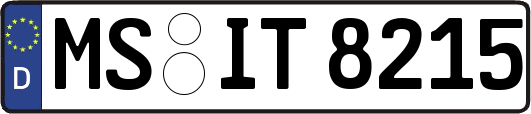 MS-IT8215