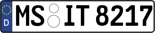 MS-IT8217