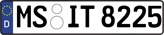 MS-IT8225
