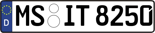MS-IT8250