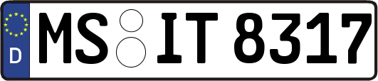 MS-IT8317