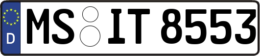 MS-IT8553