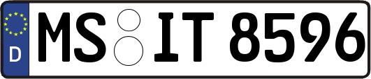MS-IT8596