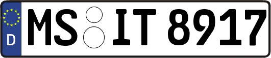 MS-IT8917