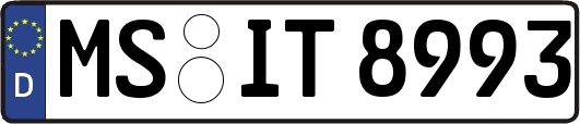 MS-IT8993