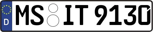 MS-IT9130