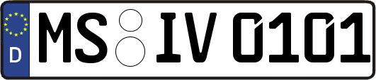 MS-IV0101
