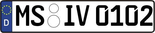 MS-IV0102