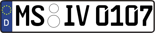 MS-IV0107