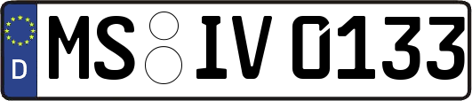 MS-IV0133