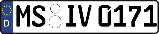 MS-IV0171