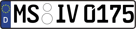 MS-IV0175