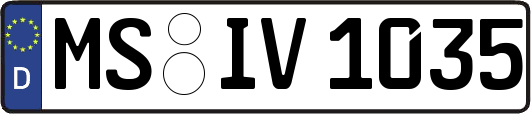 MS-IV1035