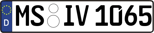 MS-IV1065
