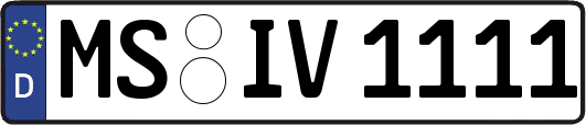 MS-IV1111