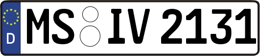 MS-IV2131