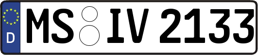 MS-IV2133