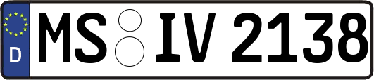 MS-IV2138