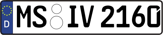 MS-IV2160