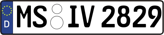 MS-IV2829