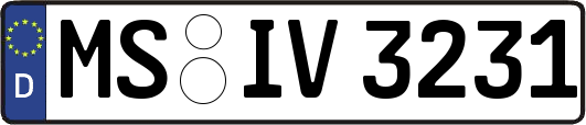 MS-IV3231