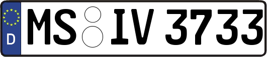 MS-IV3733