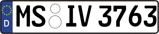 MS-IV3763