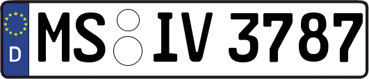 MS-IV3787