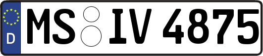 MS-IV4875