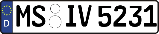 MS-IV5231