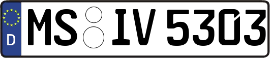 MS-IV5303