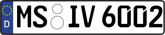 MS-IV6002