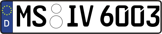 MS-IV6003