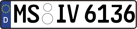 MS-IV6136