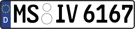 MS-IV6167