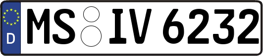 MS-IV6232