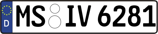 MS-IV6281