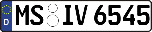 MS-IV6545