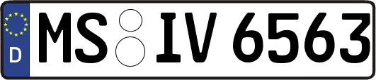 MS-IV6563