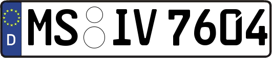 MS-IV7604