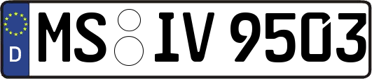 MS-IV9503