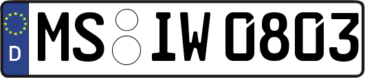 MS-IW0803