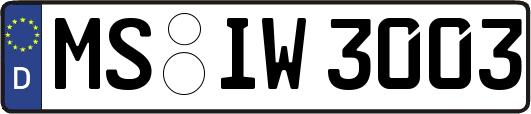 MS-IW3003