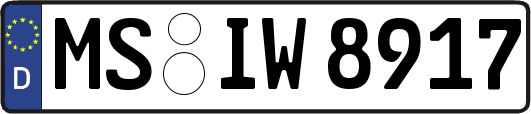 MS-IW8917